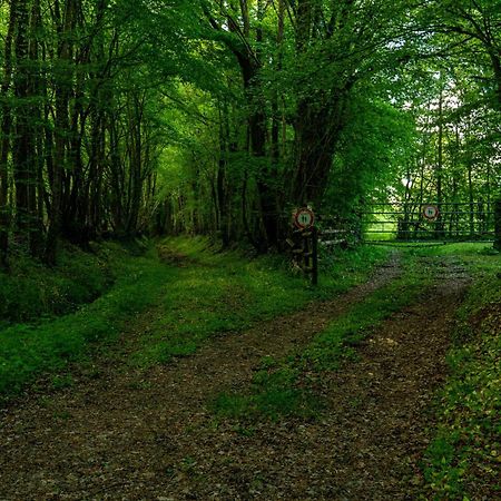 Rémalard Domaine Moulin De Boiscorde 1H45 Paris B&B 외부 사진